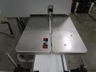 Bosch Continous Band Sealer With Conveyor